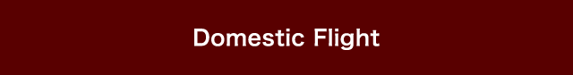 Domestic Flight